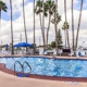 Alamo Palms
