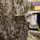 Port Hueneme Tree Services - Arborists