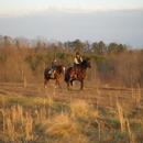 Jumping H Farm - Horse Training