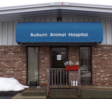 VCA Auburn Animal Hospital - Auburn, MA