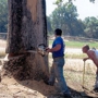 High Sierra Tree Service