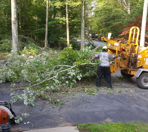 SAB Tree Experts - North Franklin, CT