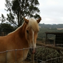 Seven Oaks Farm - Community Organizations