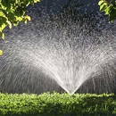 Mile-Hi Sprinklers - Sprinklers-Garden & Lawn