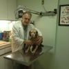 Throgs Neck Animal Hospital gallery