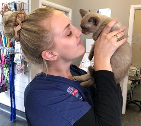 North Randwick Veterinary Clinic - Randwick, ACT. Sarah Duncan