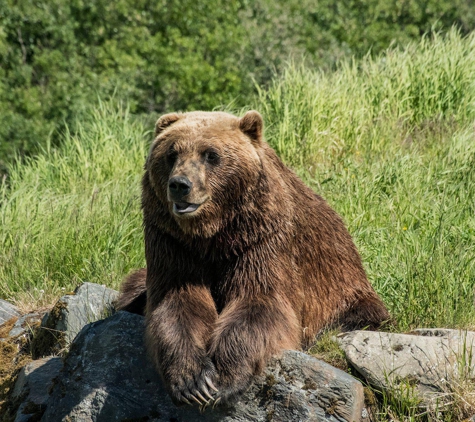 Great Wildlife Photos - Sparks, NV