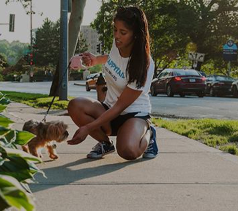 Happytail Dog Walkers - Chicago, IL