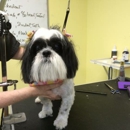 Bubbles N' Paws Mobile Grooming - Dog & Cat Grooming & Supplies