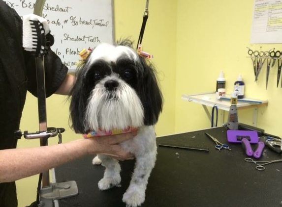 Bubbles N' Paws Mobile Grooming - Orlando, FL