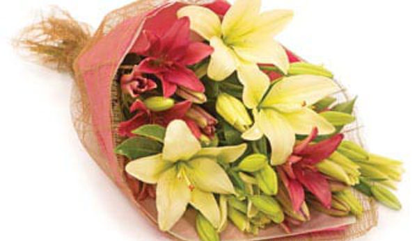 City Florist - Queanbeyan, NSW