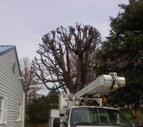 Fields Tree Service - Uniontown, PA