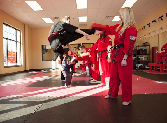 Dojo Karate - Minnetonka - Hopkins, MN