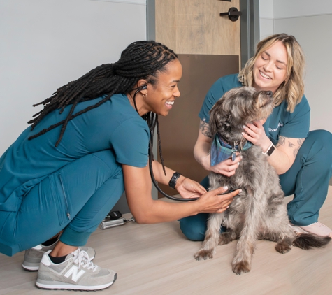 Livewell Animal Hospital of Huntersville - Huntersville, NC