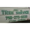 JR'S Tree Service gallery