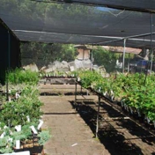 Gallery Image Number 6