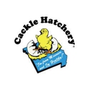 Cackle Hatchery® - Poultry Hatcheries