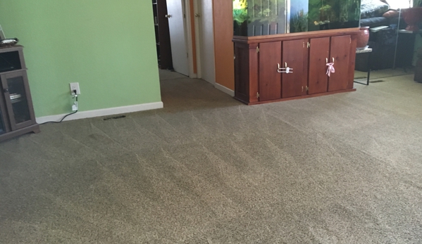 NorCal carpet cleaning - San Rafael, CA