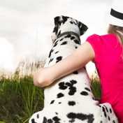 Gallery Image Number 2
