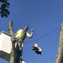 Moyer's Tree Services