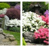 DEL SOL LANDSCAPING MAINTENANCE & DESIGN gallery