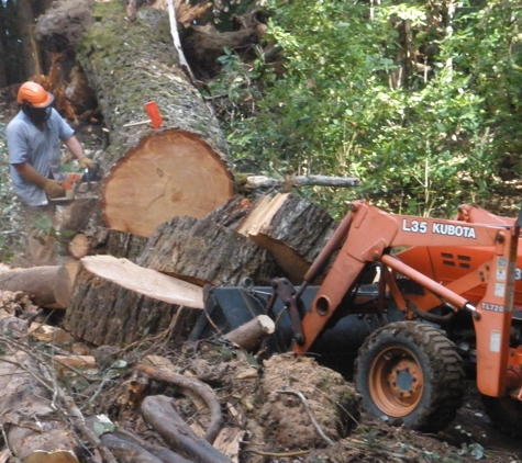 Riccabona's Landscape & Tree Service - Santa Cruz, CA