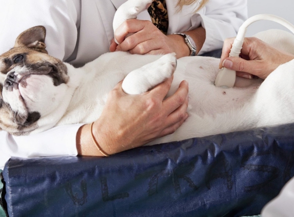 Torenbeek Veterinary Clinic - Frenchville, QLD