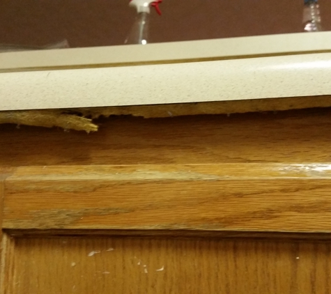 Holland Park Apartments - Lawrenceville, GA. Countertop in these slum apartments...THERE IS MOLD HERE!!!!