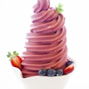 Wonderberry Frozen Yogurt - Yogurt