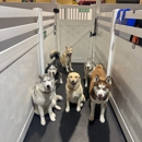 Metro Dog - Pet Grooming