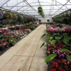 Norl Schut Greenhouses Inc gallery