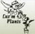 Luv'm Plants - Indoor Plant Hire