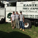 Eastern Tree Experts LLC - Arborists