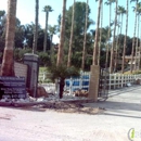 Silver Rose Ranch - Horse Training