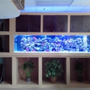 Aquarium & Pets Emporium - Aquariums & Aquarium Supplies-Leasing & Maintenance