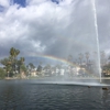 Echo Park Paddle Boats gallery