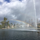 Echo Park Paddle Boats