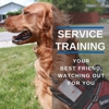 Dog Training Elite Phoenix gallery