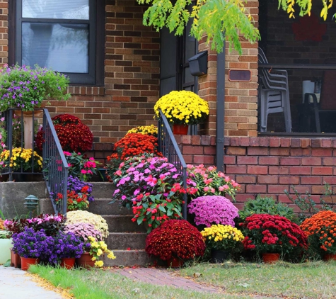 Bravo Landscaping - Spring, TX