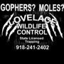 Lovelace Wildlife Control