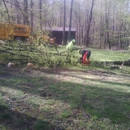 Brown's Tree Service - Tree Service