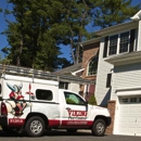 Viking Pest Control - Termite Control