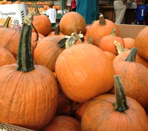 Dowse Orchards - Sherborn, MA