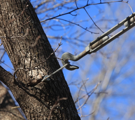 Spartek Tree Service - Goshen, OH