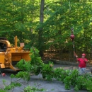 Northern Woods Tree Service - Arborists