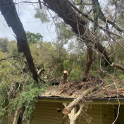 Gallery Image Number 5