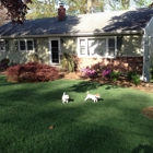 Natures Choice Lawn Care an Tick Control of Trumbull ct.
