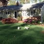 Natures Choice Lawn Care an Tick Control of Trumbull ct.