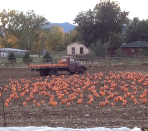 Isabelle Farm Organic Food - Lafayette, CO