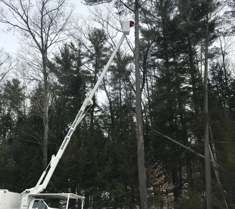 McIntyre's Tree Service - Stroudsburg, PA